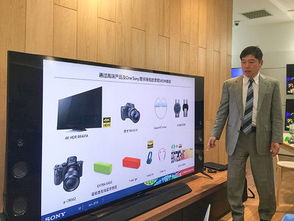 為消費(fèi)者提供更多價(jià)值 索尼中國(guó)總裁專訪聚焦軟件銷售新趨勢(shì)