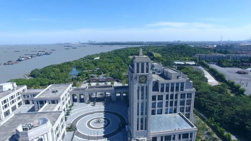 滬上力量再集結(jié)，數(shù)字創(chuàng)意賦新能——上海市紅色文化傳播志愿服務(wù)聯(lián)盟在寶山成立